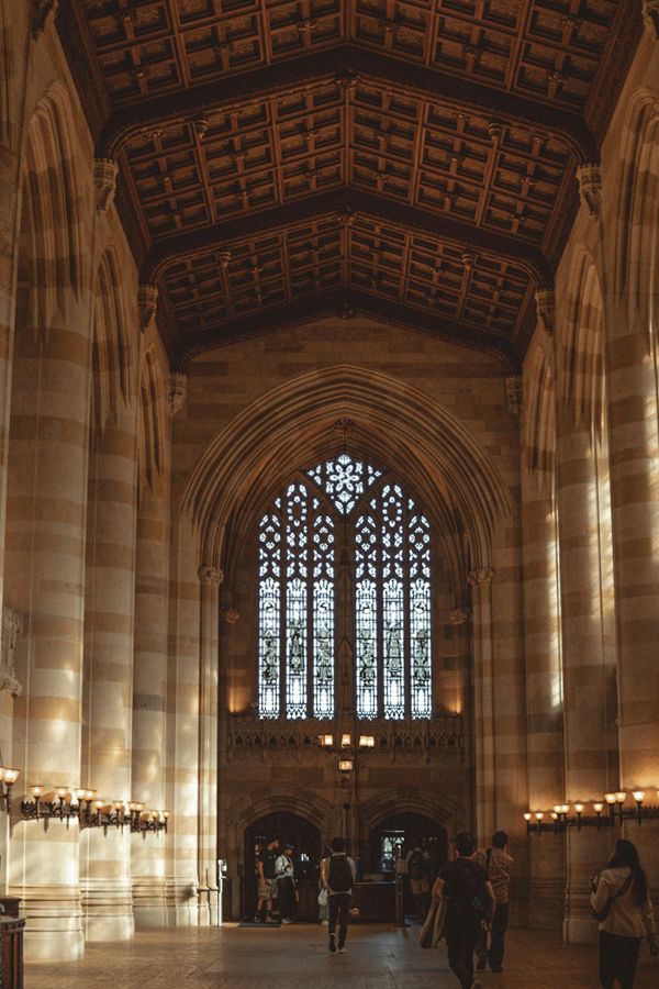 New Haven University